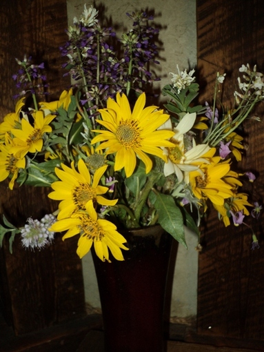 Fresh flowers from BoulderCrest Ranch