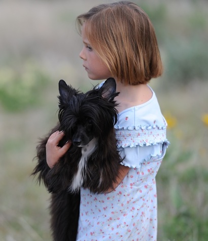 Calli and Lola ~ an inseperable pair ~  Legacy Powderpuffs at BoulderCrest Ranch