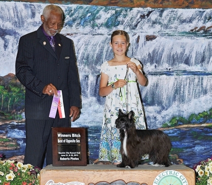 Tori showing Ch Lola is a Showgirl at BoulderCrest Ranch