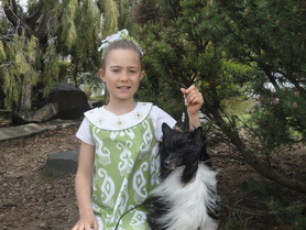 Tori showing Clea ~ Lewiston Show 2010 ~  Legacy Powderpuffs at BoulderCrest Ranch