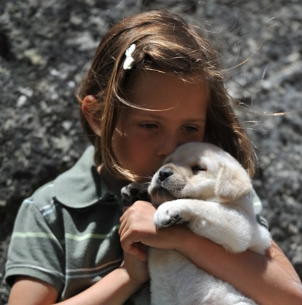 Calli with adorable Brody puppy