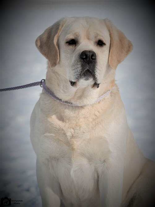 www.bouldercrestranch.com Our new boy 