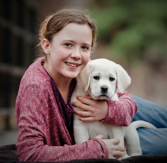 English Labrador Retriever www.bouldercrestranch.com Legacy's Joy To The World at BoulderCrest 