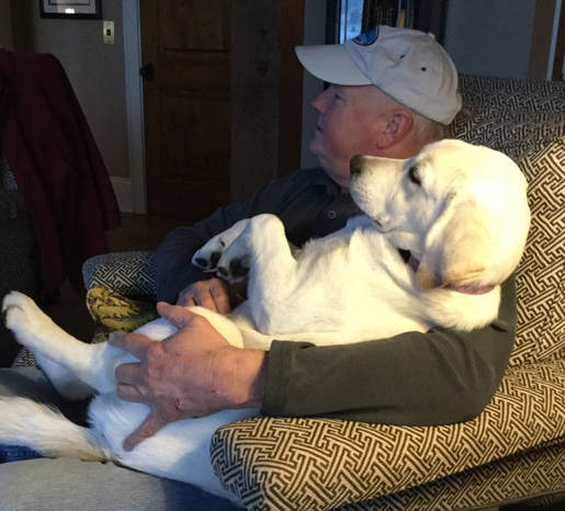 I'm Daddy girl from Legacy Labradors at BoulderCrest Ranch