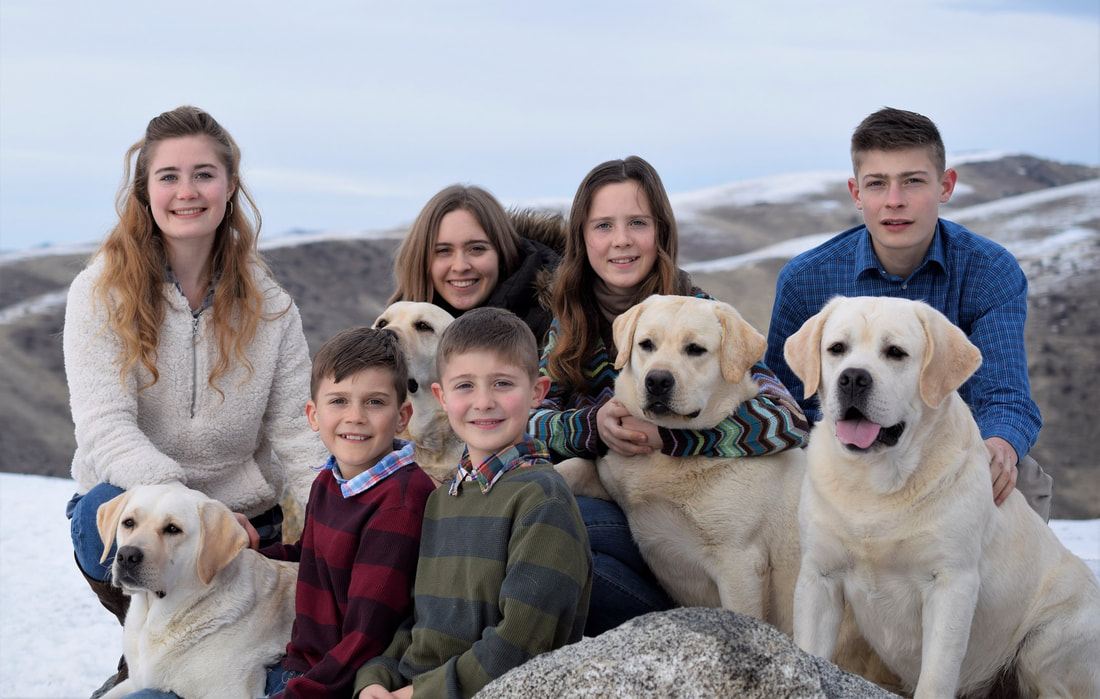 www.bouldercrestranch.com Yellow English Labradors at BoulderCrest Ranch with Family