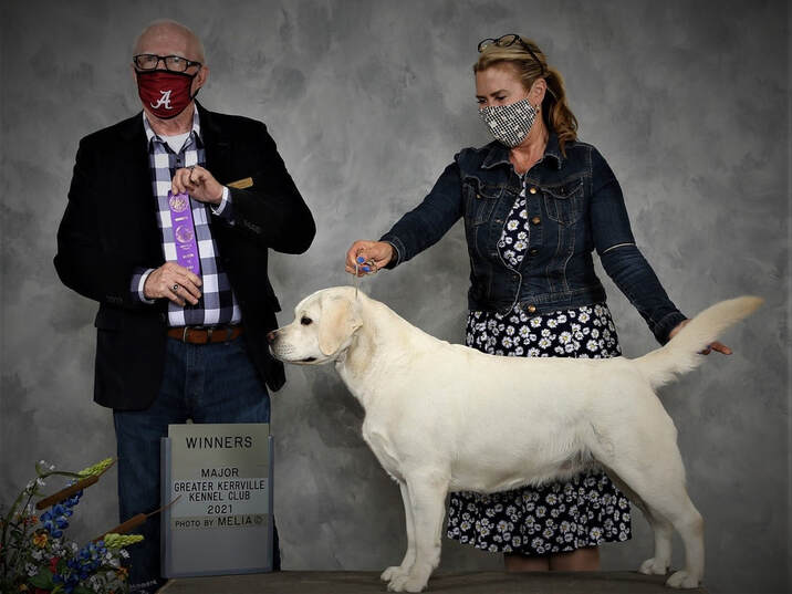 Joy from BoulderCrest Ranch winning 3 point Major